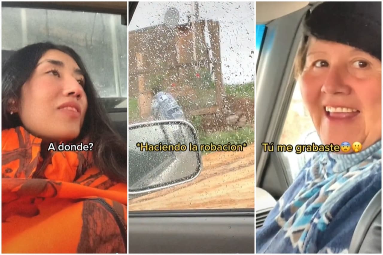 Mujer chilena se hace viral en TikTok por “robar” plantas para su jardín